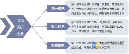 中国市场调研行业发展现状及趋势分析 图